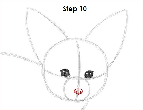 Draw Fennec Fox 10