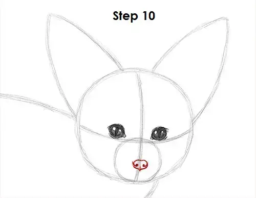 How To Draw A Fennec Fox 811 x 986 jpeg 148 кб. how to draw a fennec fox