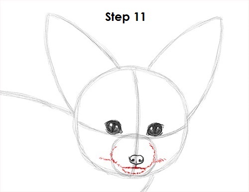 Draw Fennec Fox 11
