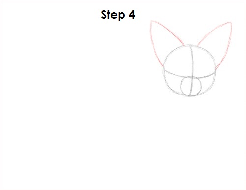 Draw Fennec Fox 4