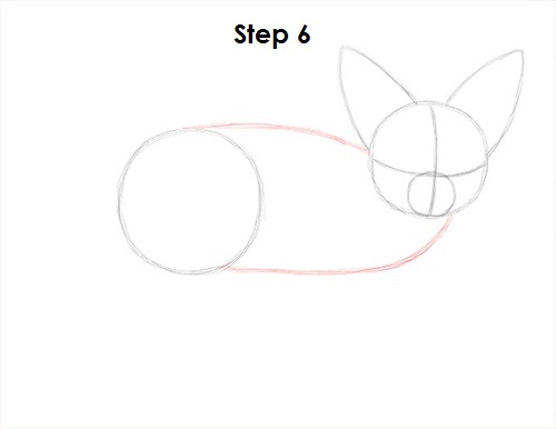 Draw Fennec Fox 6