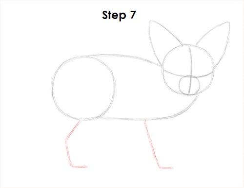 Draw Fennec Fox 7
