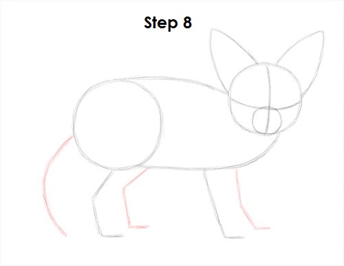 Draw Fennec Fox 8