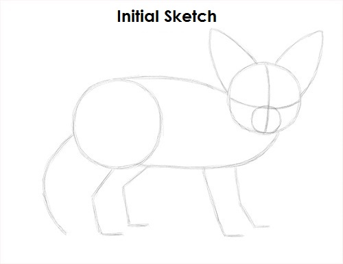 Draw Fennec Fox Sketch
