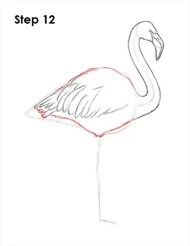 How To Draw A Flamingo Video Step By Step Pictures