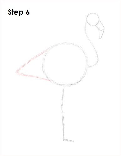 Draw Flamingo Bird 6