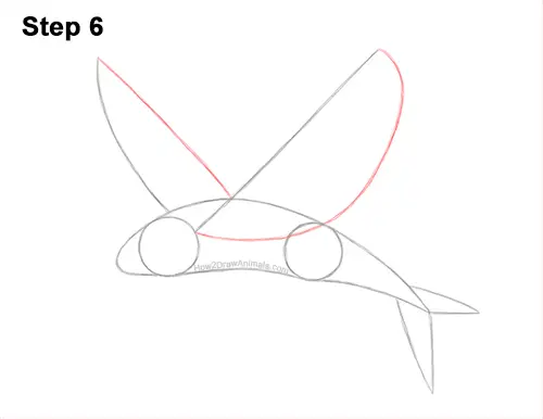 How to Draw a Flying Fish Cod Wings 6