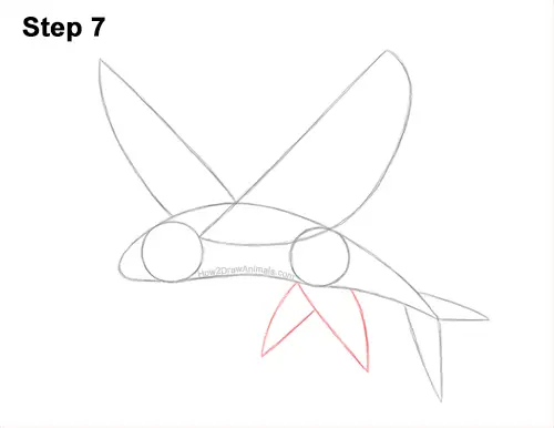 How to Draw a Flying Fish Cod Wings 7