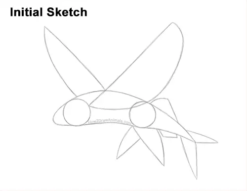 How to Draw a Flying Fish Cod Wings Guides Lines
