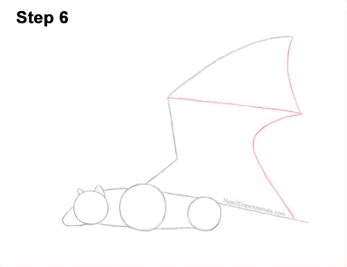 How to Draw a Flying Fox Fruit Bat Wings 6