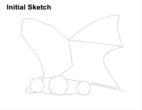 How to Draw a Flying Fox Fruit Bat Wings Guides Lines