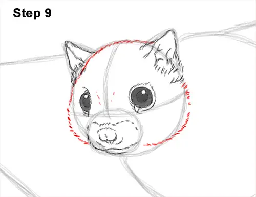 How to Draw a Southern Flying Squirrel Gliding 9