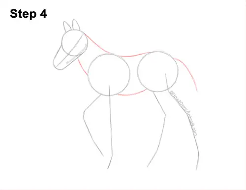 How to Draw a Foal Baby Horse Walking Side View 4