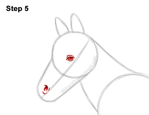 How to Draw a Foal Baby Horse Walking Side View 5