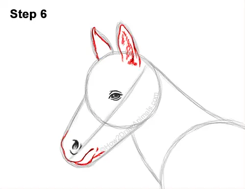 How to Draw a Foal Baby Horse Walking Side View 6