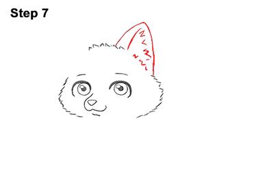 how to draw a fox face step by step