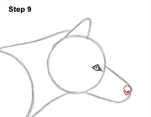 How to Draw a Fox (Color) VIDEO & Step-by-Step Pictures