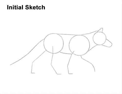 How to Draw a Red Fox Walking Side View Guides Lines