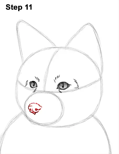 How to Draw a Red Fox Sitting 11