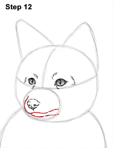 How to Draw a Red Fox Sitting 12