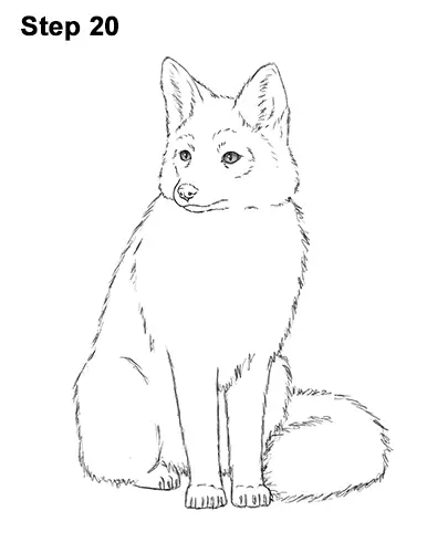 Free: Stealth Fox - Cute Fox Drawing - nohat.cc