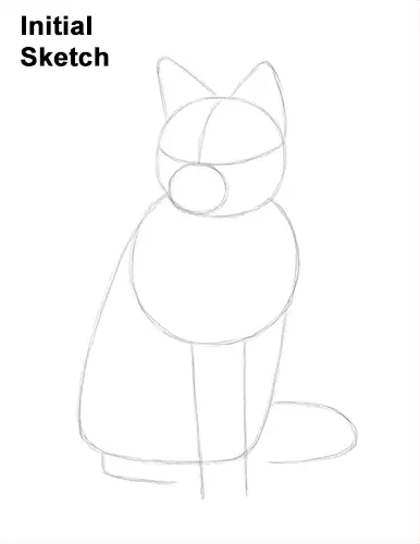 How to Draw a Red Fox Sitting Initial Sketch