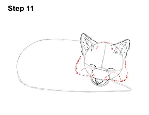 Featured image of post How To Draw A Fox Sitting Down