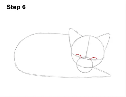How to Draw Cute Red Fox Sleeping Asleep 6