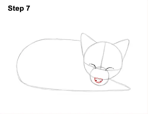 How to Draw Cute Red Fox Sleeping Asleep 7
