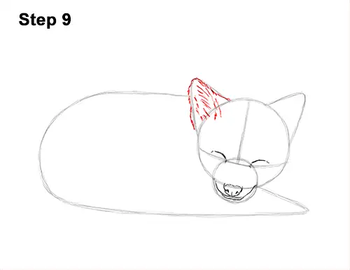 How to Draw Cute Red Fox Sleeping Asleep 9