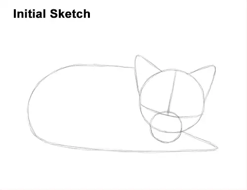 How to Draw Cute Red Fox Sleeping Asleep Guide Lines