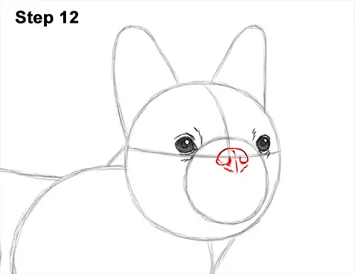 How to Draw French Bulldog Frenchie Puppy Dog 12