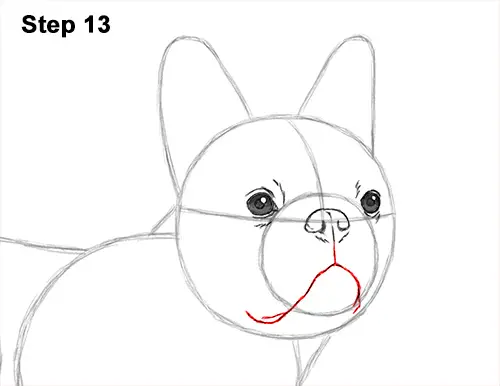 How to Draw French Bulldog Frenchie Puppy Dog 13