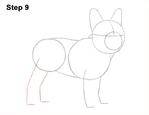 How to Draw French Bulldog Frenchie Puppy Dog 9
