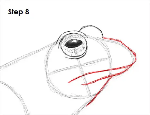 Draw Frog 8