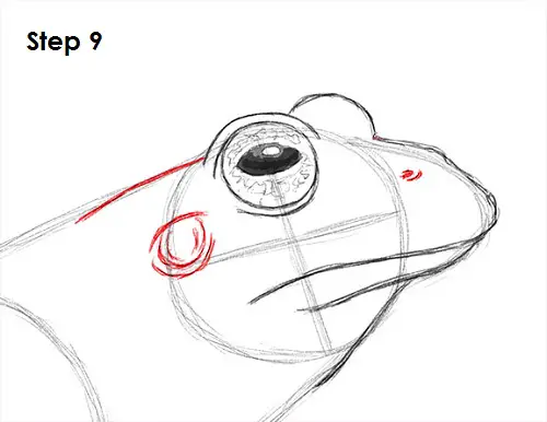 Draw Frog 9
