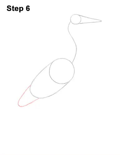 How to Draw Great Blue Heron Bird 6