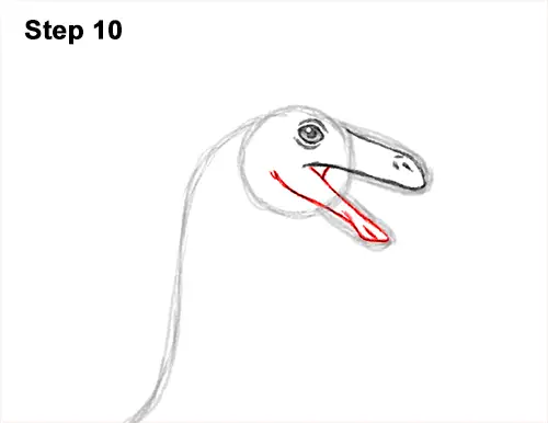 How to Draw a Gallimimus Dinosaur Running Side 10