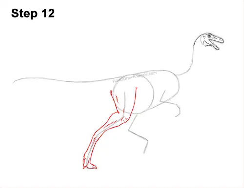 How to Draw a Gallimimus Dinosaur Running Side 12