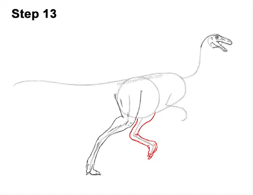 How to Draw a Gallimimus Dinosaur Running Side 13