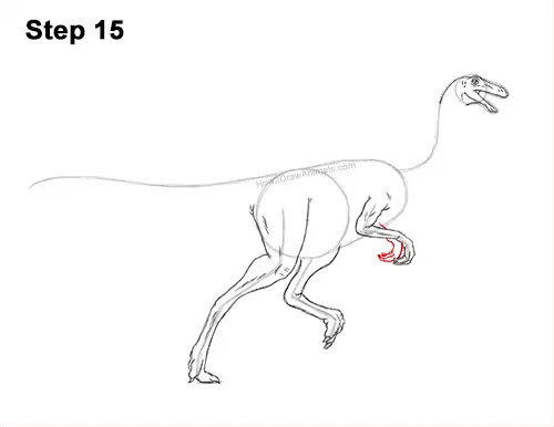 How to Draw a Gallimimus Dinosaur Running Side 15