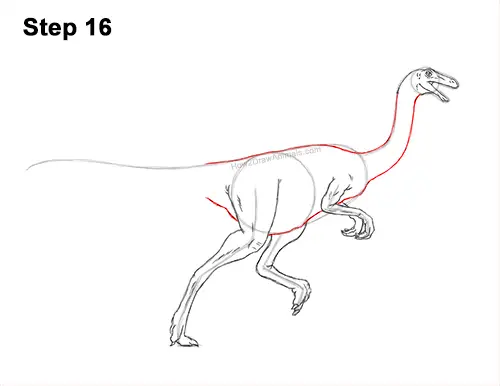 How to Draw a Gallimimus Dinosaur Running Side 1