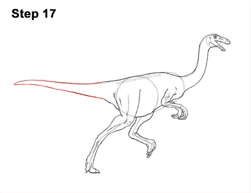 How to Draw a Gallimimus Dinosaur Running Side 17