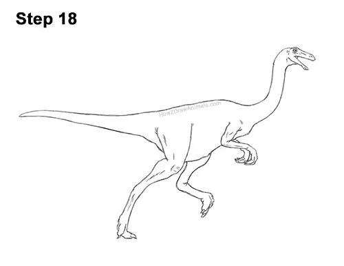 How to Draw a Gallimimus Dinosaur Running Side 18