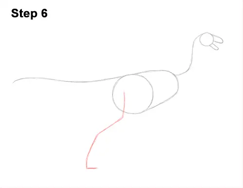 How to Draw a Gallimimus Dinosaur Running Side 6