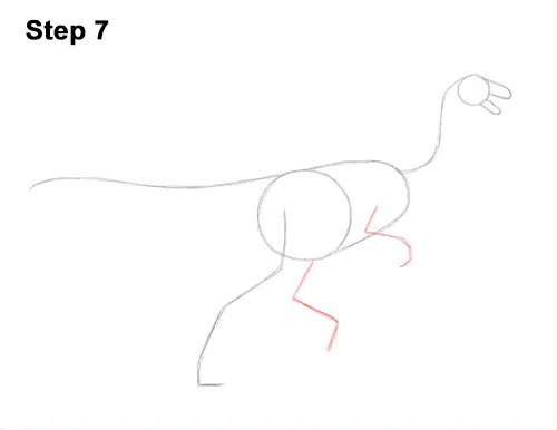 How to Draw a Gallimimus Dinosaur Running Side 7