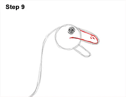How to Draw a Gallimimus Dinosaur Running Side 9