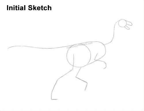 How to Draw a Gallimimus Dinosaur Running Side Guides Lines