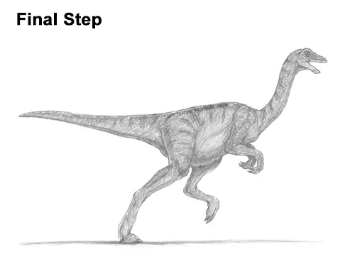 How to Draw a Gallimimus Dinosaur Running Side