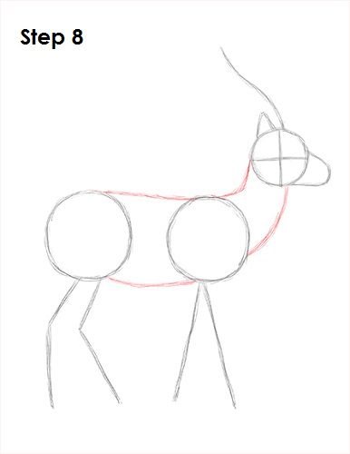 Draw Gazelle 8